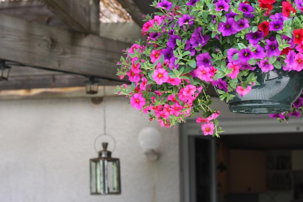 Calme Et Nature, Ba Hotel Gujan-Mestras Ruang foto